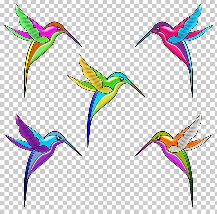Hummingbird Violetear PNG, Clipart, Animals, Beak, Bird, Clip Art, Drawing Free PNG Download
