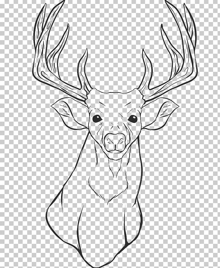 White-tailed Deer Reindeer Coloring Book Elk PNG, Clipart, Animals, Antler, Artwork, Black And White, Blacktailed Deer Free PNG Download