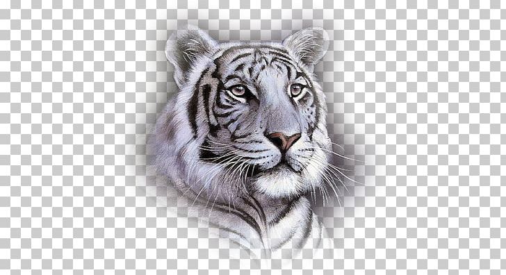 White Tiger Bengal Tiger Big Cat Animal PNG, Clipart, Animal, Bag, Bengal, Bengal Tiger, Big Cat Free PNG Download