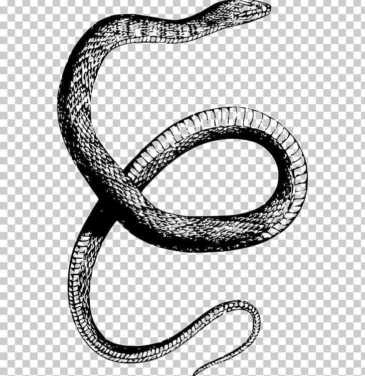 Banded Water Snake Reptile Drawing PNG, Clipart, Animals, Banded Water Snake, Black And White, Circle, Copperhead Free PNG Download