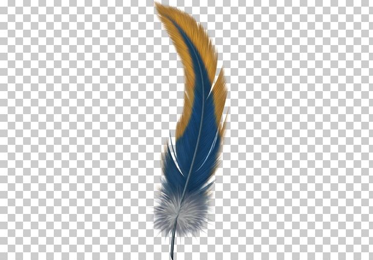 Bird Feather PNG, Clipart, Animals, Bird, Clip Art, Color, Download Free PNG Download