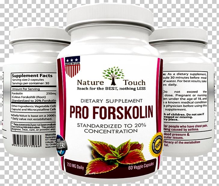 Dietary Supplement Forskolin Weight Loss Fat PNG, Clipart, Adipose Tissue, Brand, Diet, Dietary Supplement, Fat Free PNG Download