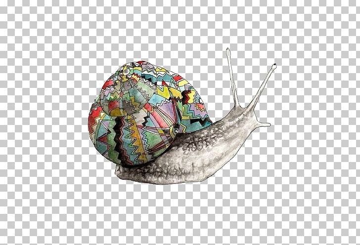 Land Snail Drawing Art PNG, Clipart, Animals, Art, Drawing, Fashion Illustration, Gastropods Free PNG Download