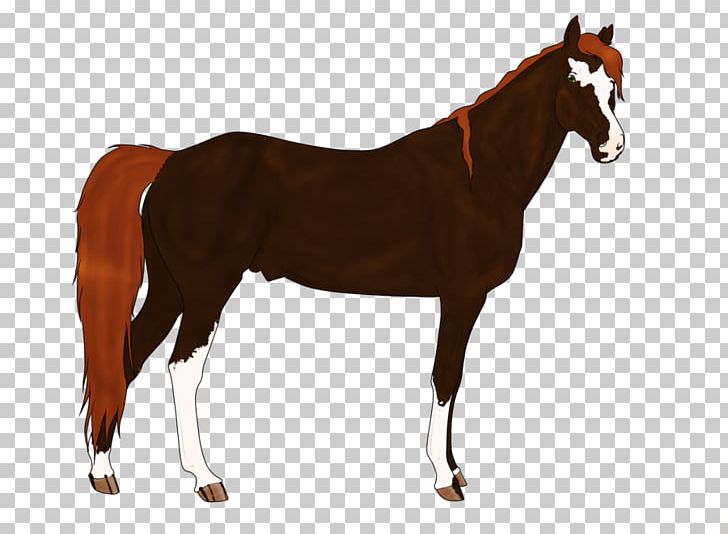 Mustang Stallion Foal Mare Pony PNG, Clipart, Animal Welfare, Breed, Bridle, Colt, Foal Free PNG Download