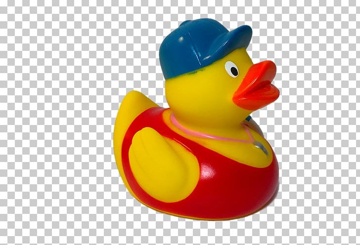 Rubber Duck Lifeguard Natural Rubber Lifebuoy PNG, Clipart, Animals, Baseball Cap, Bath Duck, Beak, Bird Free PNG Download