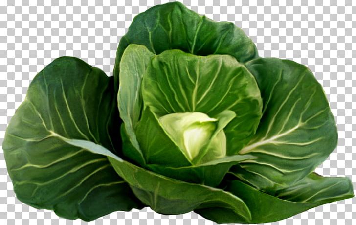 Cabbage Cauliflower Broccoli PNG, Clipart, Brassica Oleracea, Broccoli, Cabbage, Cauliflower, Choy Sum Free PNG Download