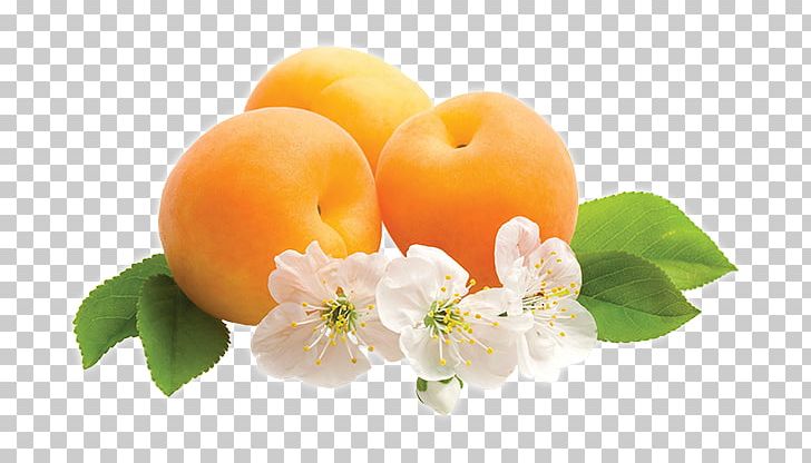 Desktop Fruit Flower Tangerine Apricot PNG, Clipart, Apple, Apricot, Apricot Kernel, Citrus, Desktop Wallpaper Free PNG Download