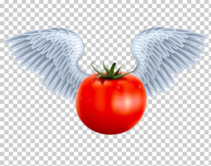 Food Tomato Others PNG, Clipart, Angel, Art, Autocad Dxf, Computer Icons, Drawing Free PNG Download