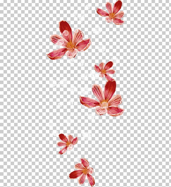 Petal RGB Color Model Flower PNG, Clipart, Blossom, Cicek, Cicekler, Color, Cut Flowers Free PNG Download