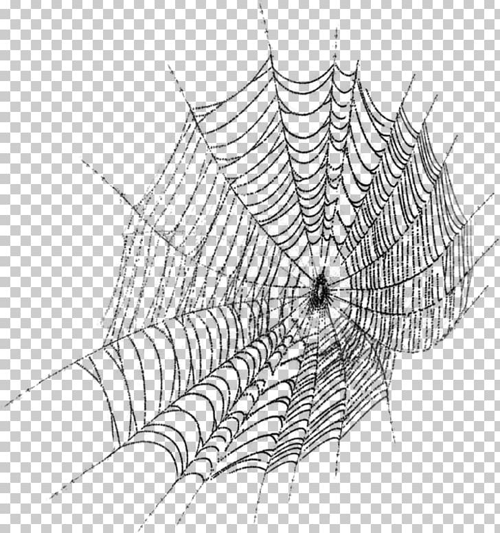 Spider Web PNG, Clipart, Arachnid, Cobweb, Digital Image, Encapsulated Postscript, Head Free PNG Download
