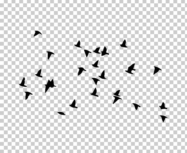 Bird Flight Flock Wall Decal PNG, Clipart, Animal, Animal Migration, Animals, Beak, Bird Free PNG Download
