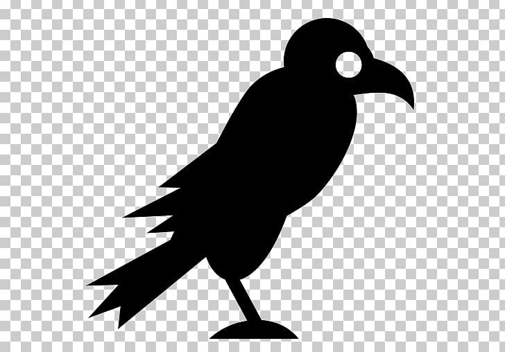 Computer Icons Vulture PNG, Clipart, Beak, Bird, Black And White, Computer Icons, Crow Free PNG Download