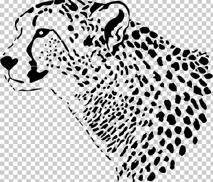 Leopard Cheetah Tiger Felidae PNG, Clipart, Animals, Area, Big Cats, Black, Black And White Free PNG Download