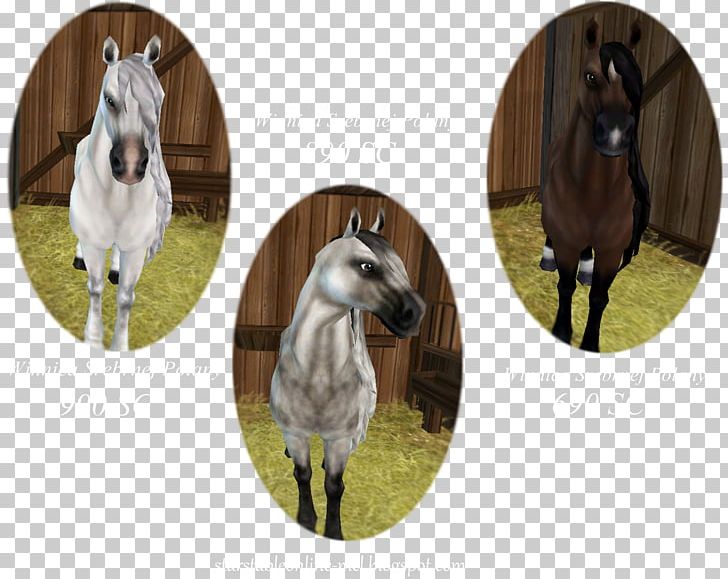 Mane Mustang Stallion Friesian Horse Friesian Sporthorse PNG, Clipart, Bridle, Foal, Friesian Horse, Friesian Sporthorse, Halter Free PNG Download