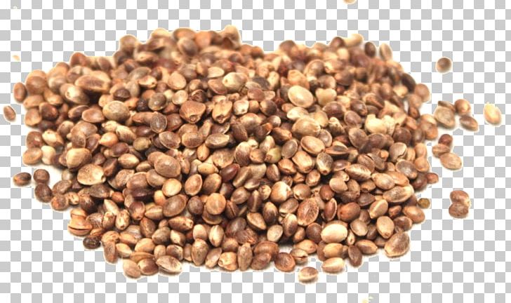 Seed Oil Hemp Oil Hemp Oil PNG, Clipart, Bean, Benefit, Cannabis, Cannabis Sativa, Carrot Seed Oil Free PNG Download