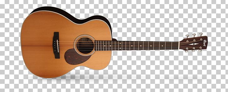 Steel-string Acoustic Guitar Cort Guitars Bass Guitar PNG, Clipart, Cutaway, Guitar Accessory, Guitarist, Introduce, L 200 Free PNG Download