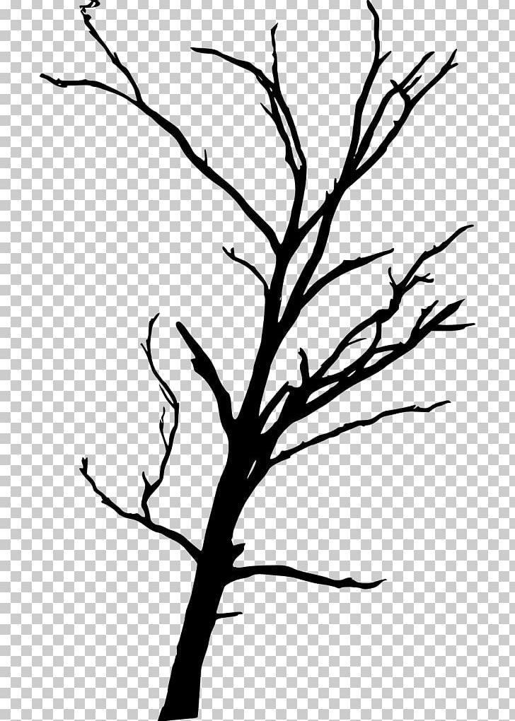Twig Drawing PNG, Clipart, 3d Computer Graphics, Animals, Artwork, Beak, Black And White Free PNG Download