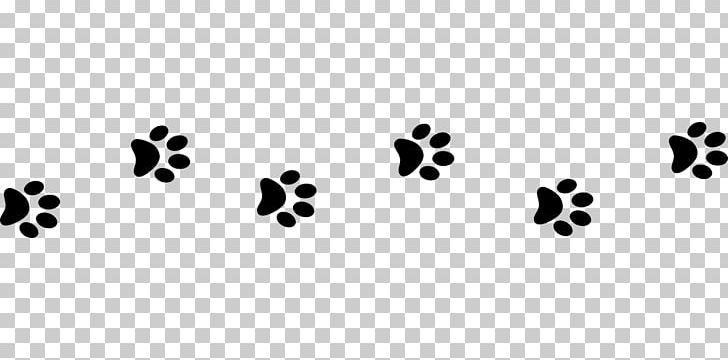 Cat Food Dog Kitten Paw PNG, Clipart, Animal, Animals, Animal Shelter, Animal Track, Black Free PNG Download