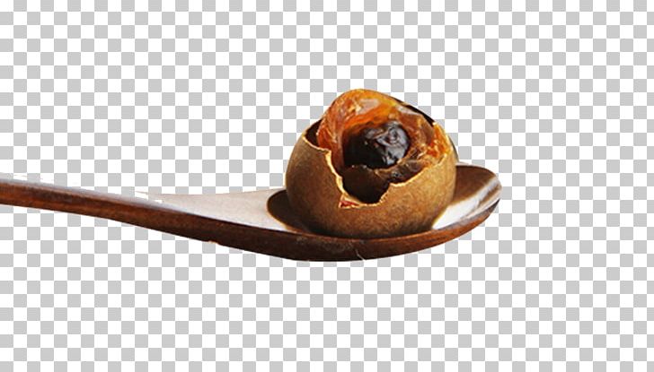 Longan PNG, Clipart, Adobe Illustrator, Dessert, Download, Dry, Encapsulated Postscript Free PNG Download