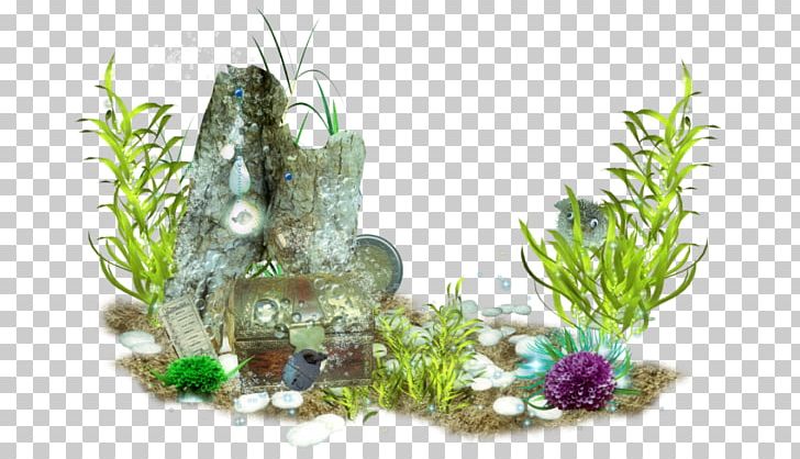 underwater plants png