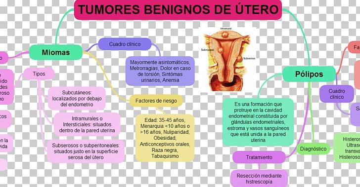 Uterus Uterine Fibroid Myoma Benign Tumor Polyp PNG, Clipart, Benignity, Benign Tumor, Communication, Female, Gynaecology Free PNG Download