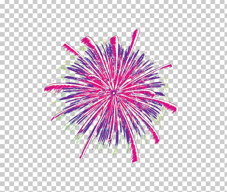 Adobe Fireworks Mulberry PNG, Clipart, Cartoon Fireworks, Circle, Creativity, Designer, Festival Free PNG Download