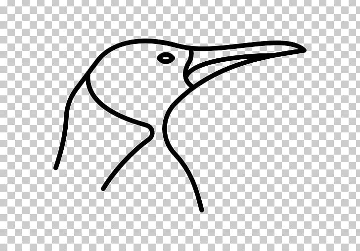 Beak Bird Of Prey White Stork PNG, Clipart, Angle, Animal, Animals, Area, Artwork Free PNG Download