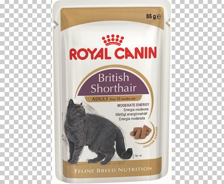 British Shorthair Cat Food Dog Kitten Maine Coon PNG, Clipart, Animals, British Shorthair, Carnivoran, Cat, Cat Food Free PNG Download