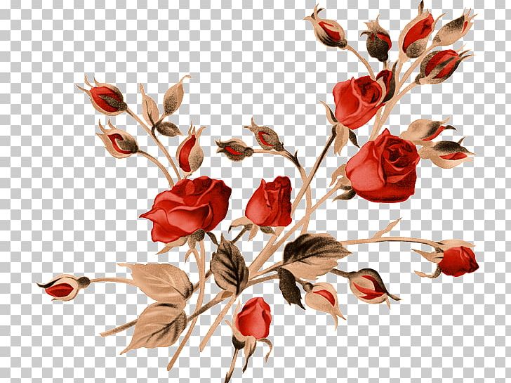 Heart Photography PNG, Clipart, Blossom, Branch, Color, Cut Flowers, Description Free PNG Download
