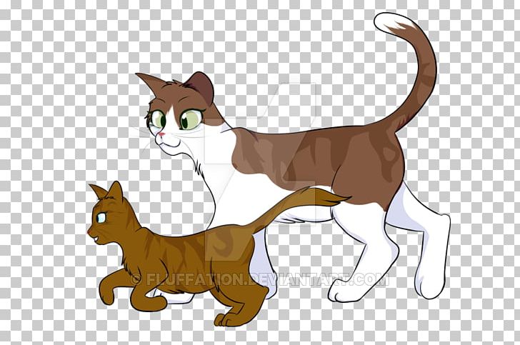 Whiskers Kitten Wildcat Red Fox PNG, Clipart, Animals, Apprentice, Canidae, Carnivoran, Cartoon Free PNG Download