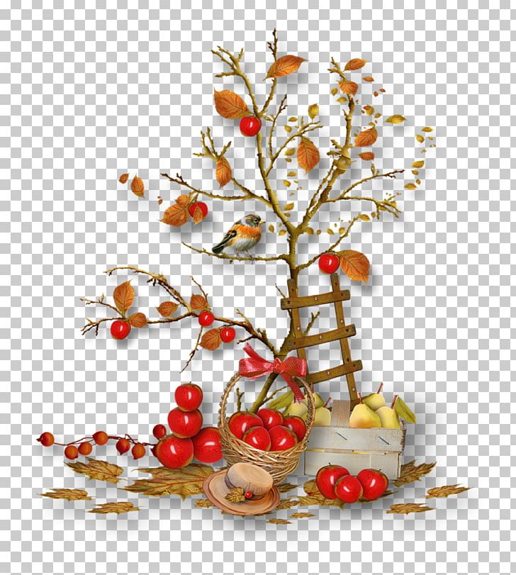 Autumn Encapsulated PostScript PNG, Clipart, Autumn, Branch, Christmas Decoration, Christmas Ornament, Encapsulated Postscript Free PNG Download