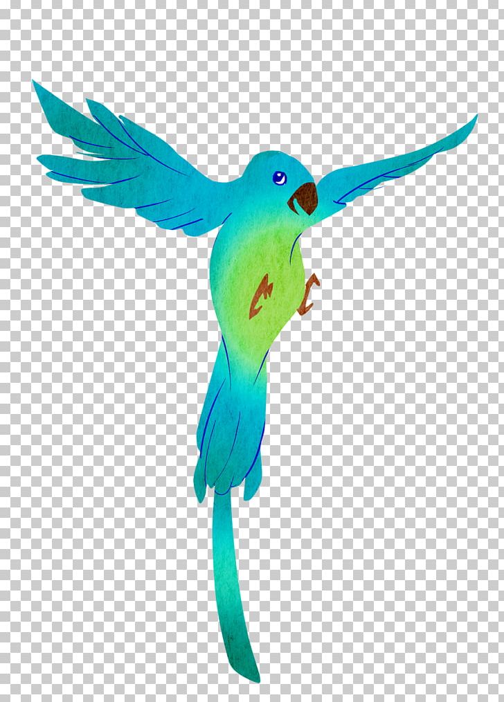 Parrot Bird Parakeet Macaw Feather PNG, Clipart, Animal, Animals, Beak, Bird, Blue Free PNG Download