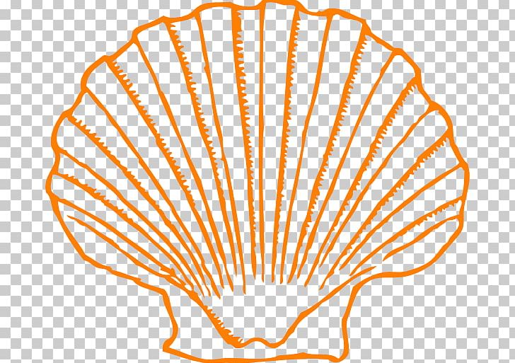Seashell Mollusc Shell Open PNG, Clipart, Animals, Area, Beach, Chambered Nautilus, Download Free PNG Download