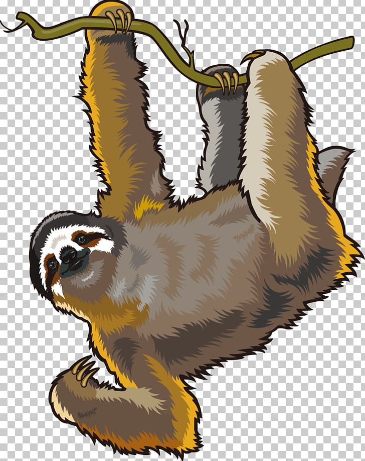 Sloth Cartoon PNG, Clipart, Animal, Animals, Carnivoran, Cartoon Animals, Claw Free PNG Download