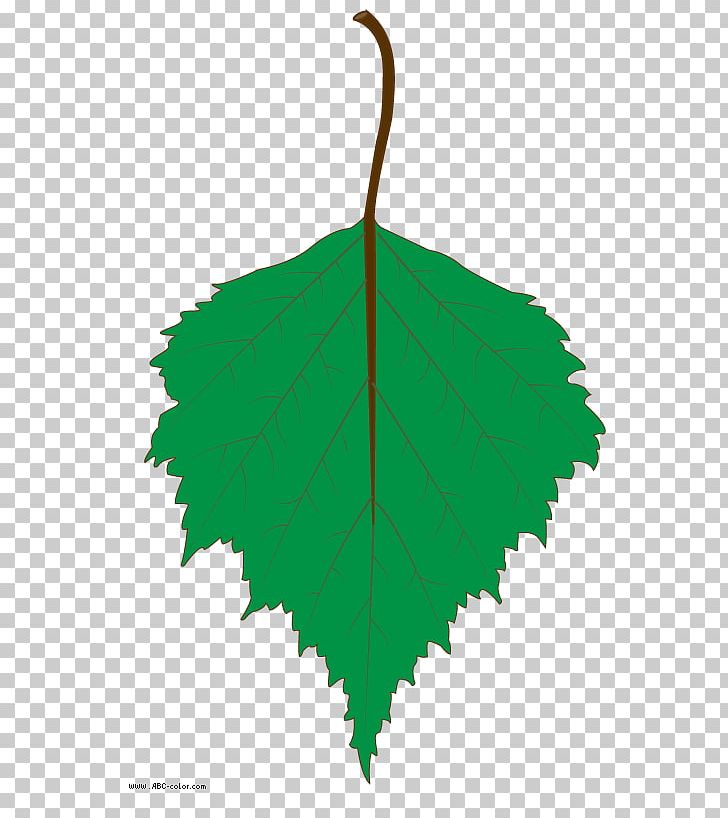 Leaf Tree PNG, Clipart, Birch, Drawing, Green, Leaf, Line Free PNG Download