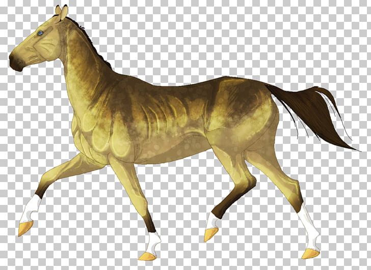 Mustang Stallion Foal Mare Akhal-Teke PNG, Clipart, Akhalteke, Animal Figure, Breed, Colt, Dressage Free PNG Download