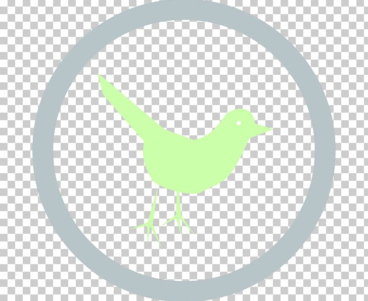 Social Media Computer Icons PNG, Clipart, Beak, Bird, Computer Icons, Download, Duck Free PNG Download