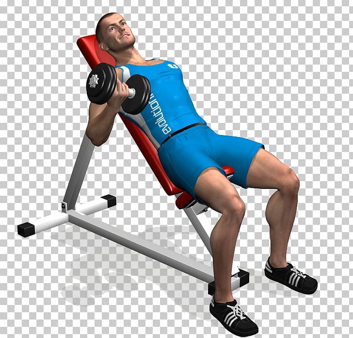 Biceps Curl Bench Dumbbell Panca Scott PNG, Clipart, Arm, Bench, Biceps, Dumbbell, Exercise Free PNG Download