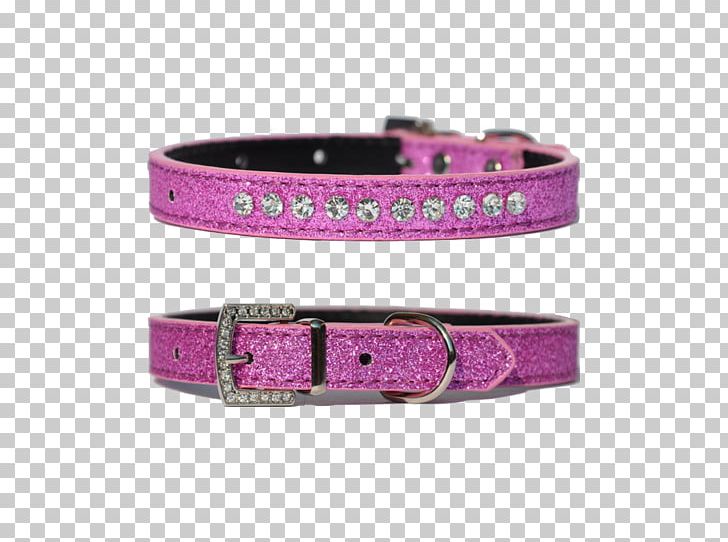 Dog Collar Dog Toys Dog Training PNG, Clipart, Animal, Animals, Collar, Dog, Dog Collar Free PNG Download