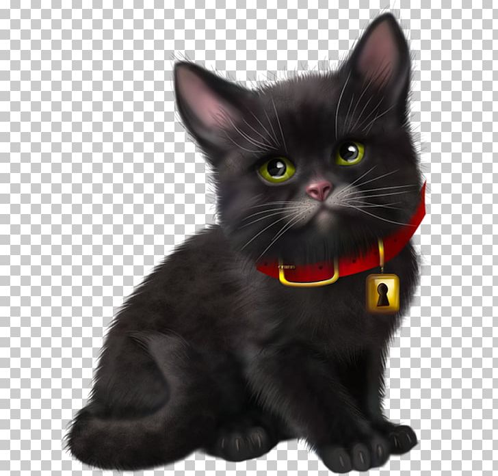 Black Cat Kitten Bombay Cat American Wirehair Korat PNG, Clipart, Animals, Asian, Black Cat, Bombay, Bombay Cat Free PNG Download