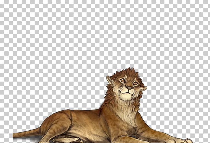 Lion Cheetah Big Cat Male PNG, Clipart, Adolescence, Big Cat, Big Cats, Carnivoran, Cat Free PNG Download