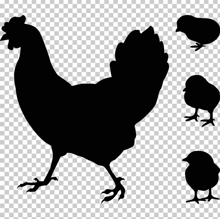 Rooster Chicken As Food Hen Coucou De Rennes PNG, Clipart, Animals, Beak, Bird, Carrelage, Chicken Free PNG Download