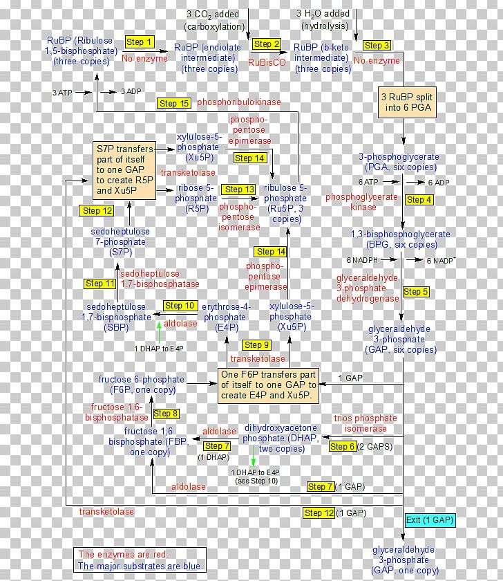 Web Page Line PNG, Clipart, Area, Document, Line, Paper, Step Flow Chart Free PNG Download