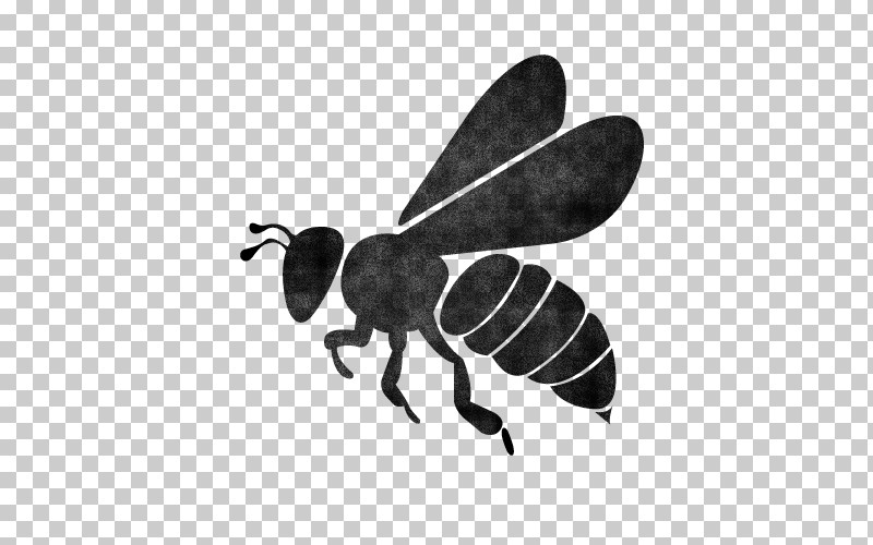 Bumblebee PNG, Clipart, Ant, Bee, Black Fly, Bumblebee, Carpenter Bee Free PNG Download