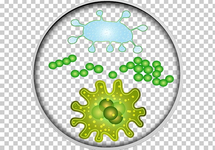 Bacteria Microorganism Microbiota Virus PNG, Clipart, Bacteria, Bacterial Disease, Circle, Donate, Green Free PNG Download