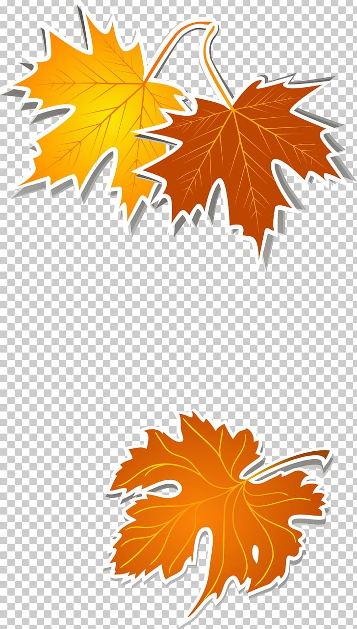 Leaf Yellow PNG, Clipart, Autumn, Autumn Leaves, Autumn Vector, Color, Decorative Elements Free PNG Download