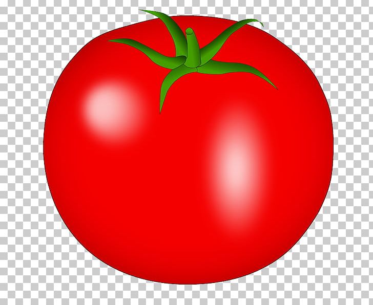 Plum Tomato Bush Tomato PhotoScape PNG, Clipart, Apple, Bush Tomato, Diet Food, Food, Fruit Free PNG Download