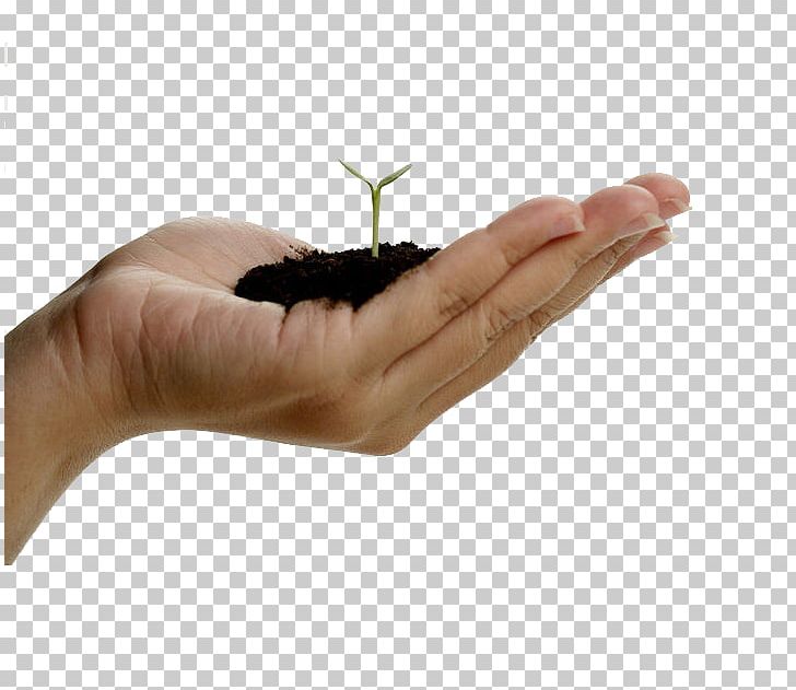 Hand Seedling Green Shoot Finger PNG, Clipart, Arbor Day, Background Green, Day, Environmental, Environmental Protection Free PNG Download