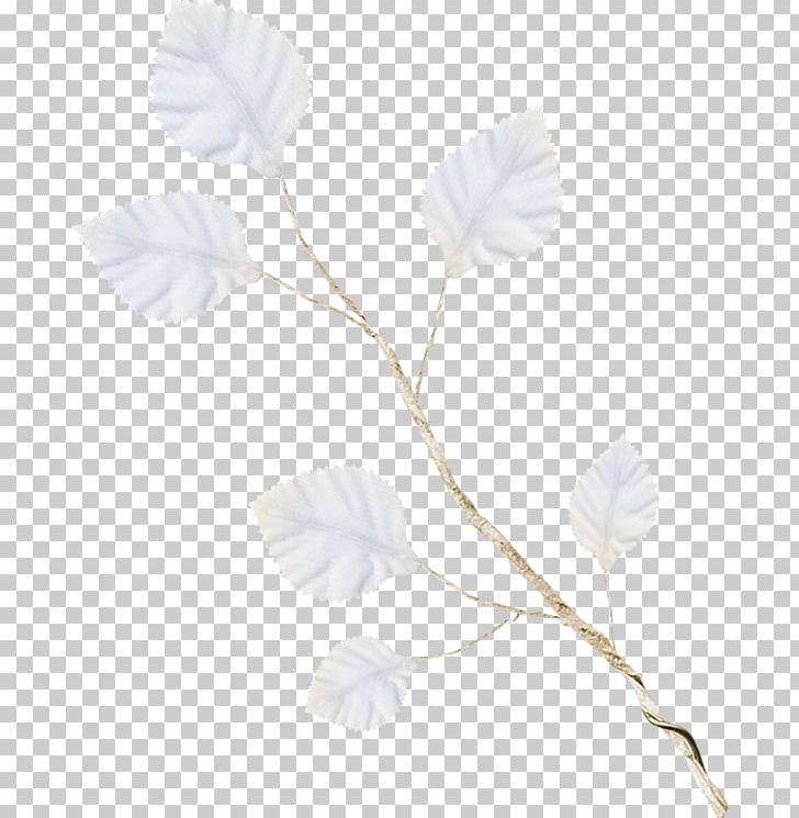 Petal Rose Family Leaf Plant Stem PNG, Clipart, Black And White, Branch, Branching, Family, Flower Free PNG Download