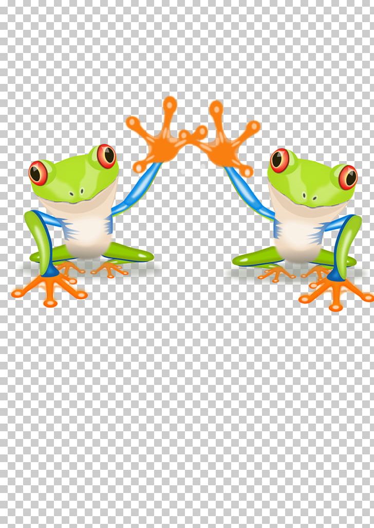 Red-eyed Tree Frog PNG, Clipart, Amphibian, Animal, Animal Figure, Animals, Drawing Free PNG Download